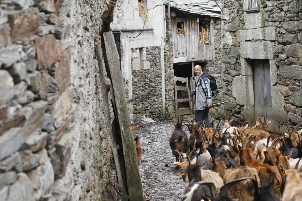 Quinta Dos 4 Lagares Otel Serrazes Dış mekan fotoğraf